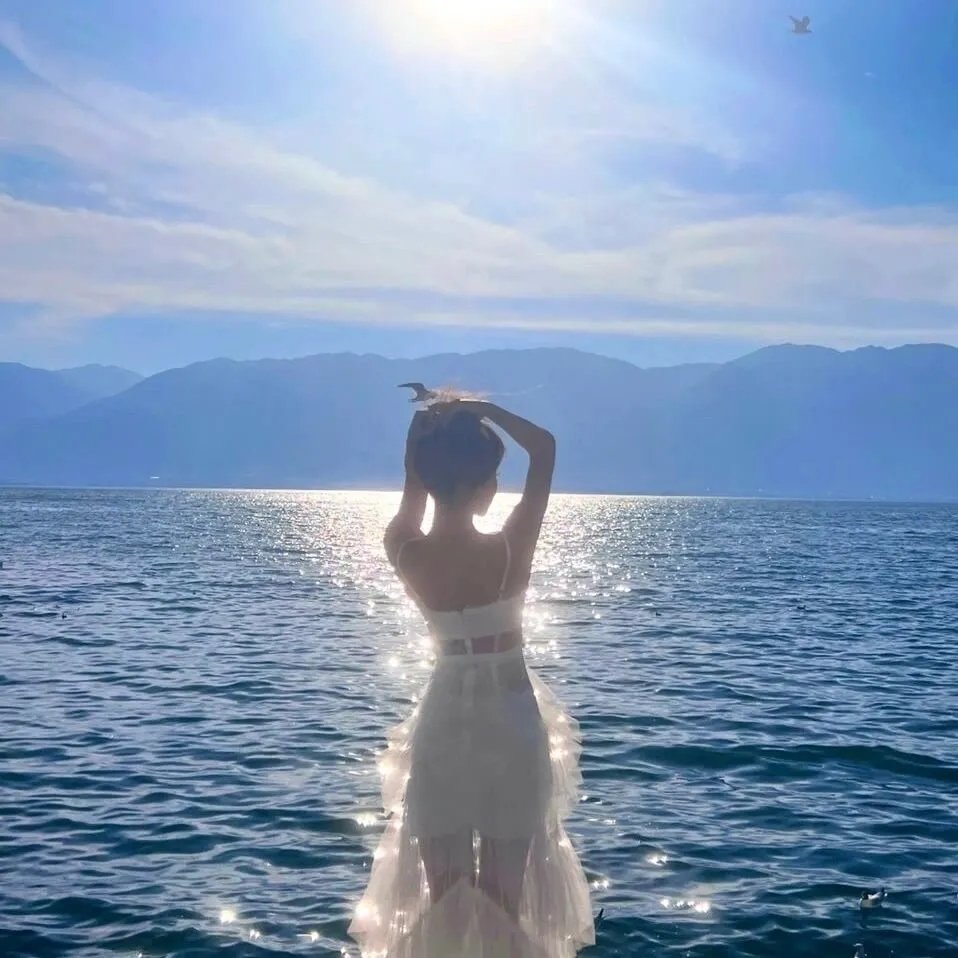 休夫后她名动京城